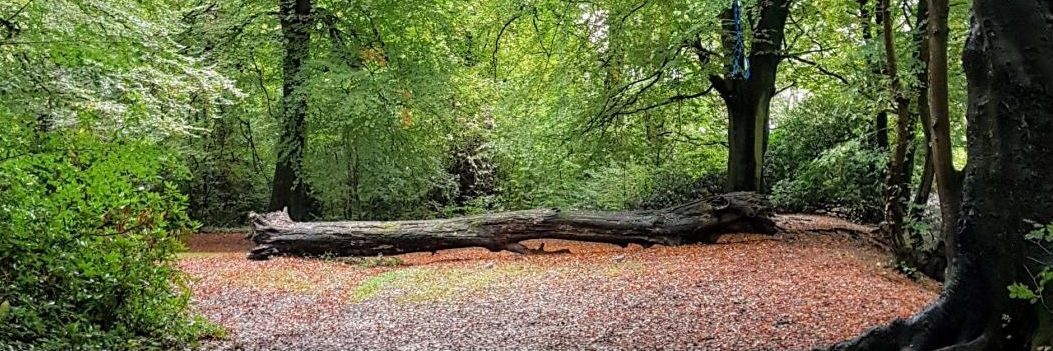 Friends of Childwall Woods and Fields